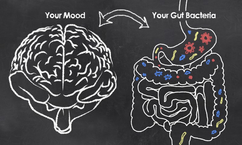 What is the Mind Gut Connection?