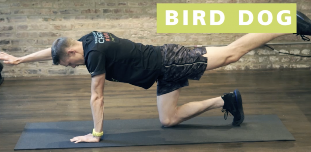 Core Exercises for Runners: Bird Dog & Dead Bug - Aligned Modern Health