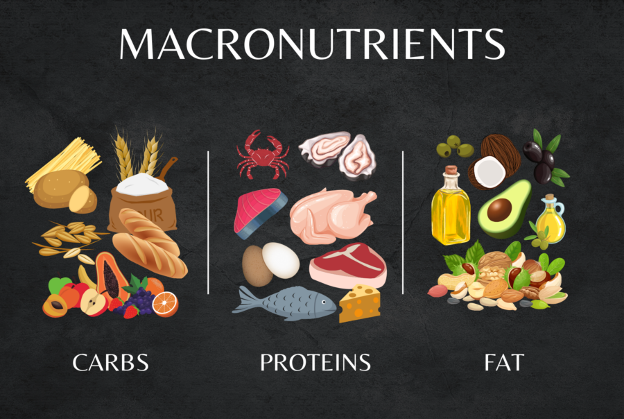 allergy friendly food chains