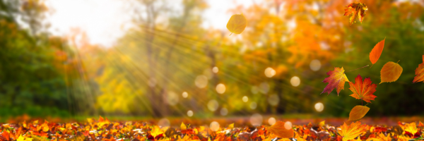 Acupuncture for Autumn Allergy Relief | WEBINAR