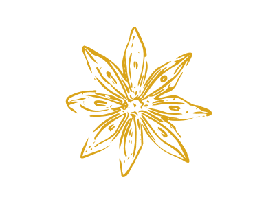 Gold outline of anise seed